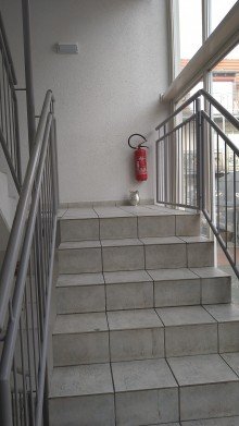 Flur Charmante 2- Zimmer-Wohnung in Gro�-Zimmern